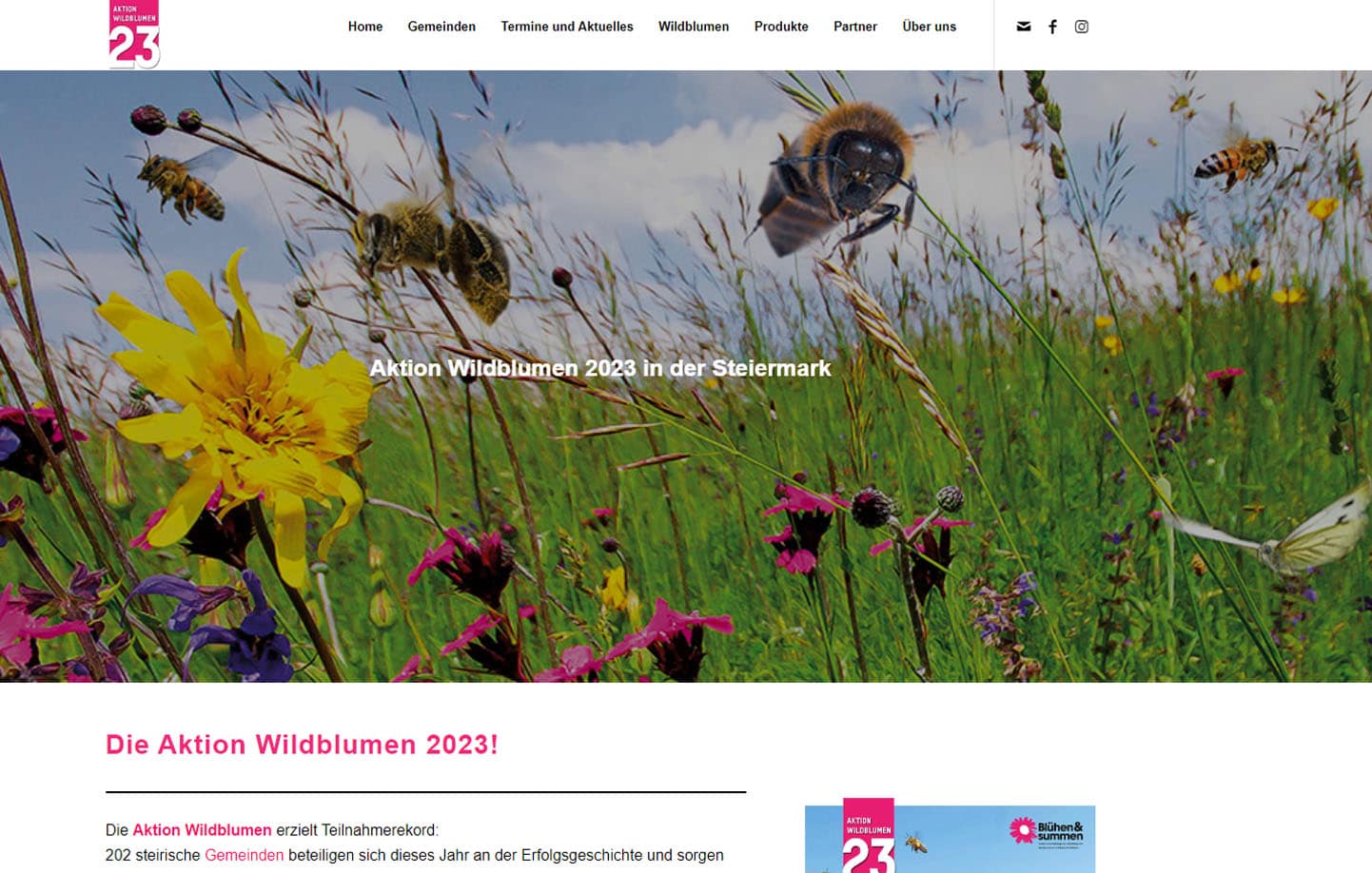 Aktion Wildblumen in Graz und der Steiermark