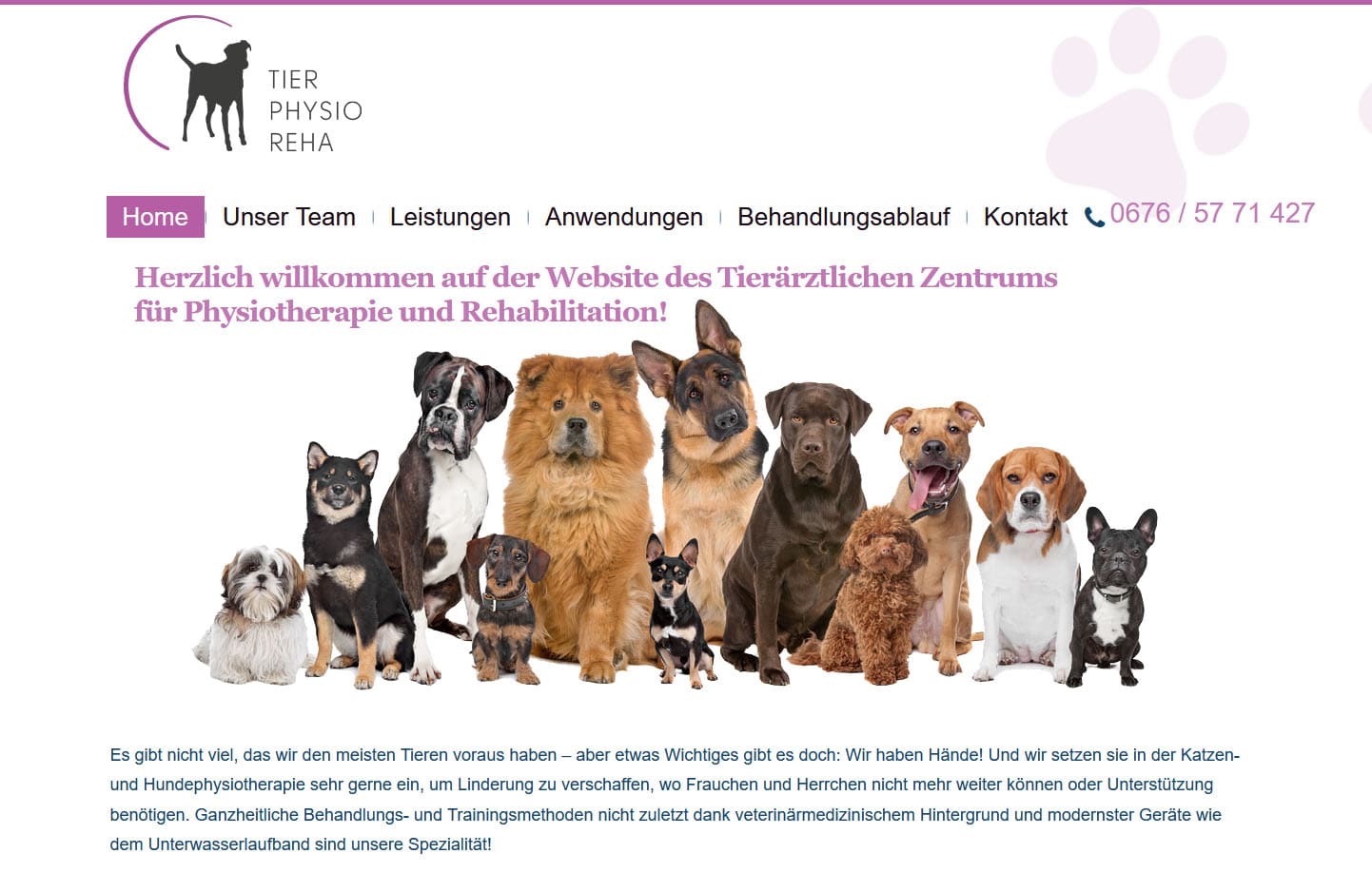 Website Referenzen Graz: Tier Physio Reha in Gratkorn